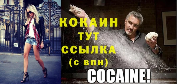 индика Волосово