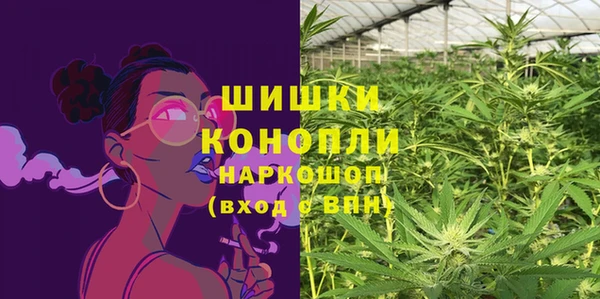 индика Волосово