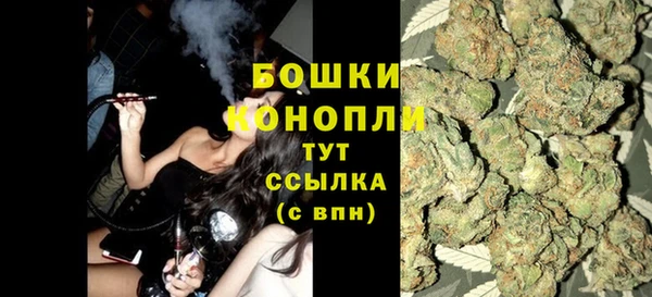 индика Волосово