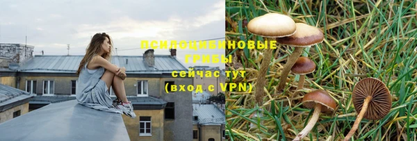 СК Бронницы
