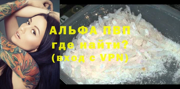 индика Волосово