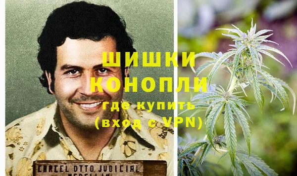 индика Волосово
