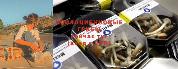ПСИЛОЦИБИНОВЫЕ ГРИБЫ Верхний Тагил