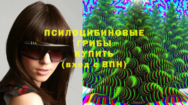индика Волосово