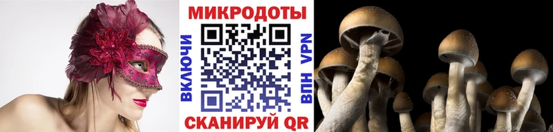 Галлюциногенные грибы мухоморы цена наркотик Новоржев