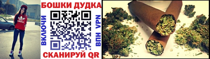 купить наркотики сайты  Новоржев  Шишки марихуана ГИДРОПОН 